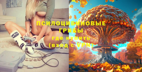 стафф Вязники